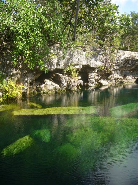 Cenote Cristalino
