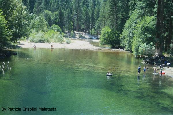 Yosemity Park
