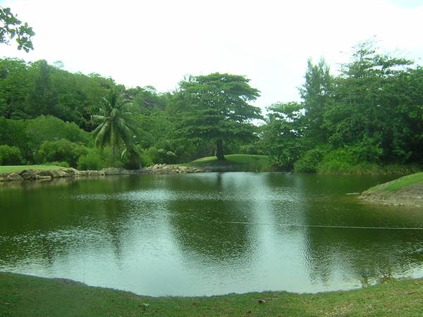 Golf Lemuria 2