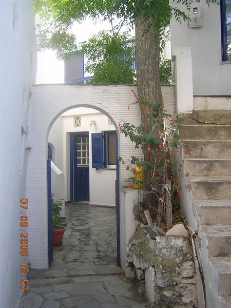 Volax Arch
