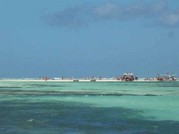 BLUE SAFARI1
