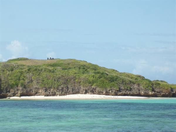 TURTLE ISLAND