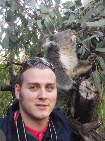 Tourist with sunglasses next to a koala on a eucalyptus trunk