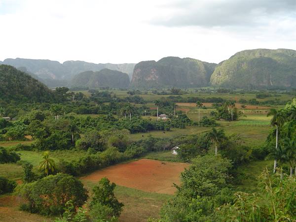 Viñales mogotes rise over red fields and farmhouses among palm trees