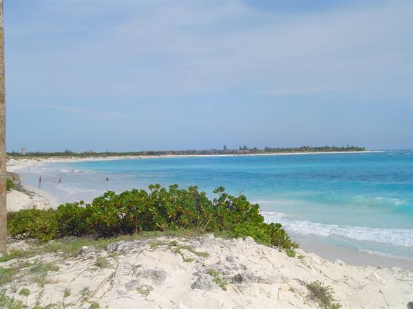 White sand beach, green shrubs and turquoise sea under a blue sky