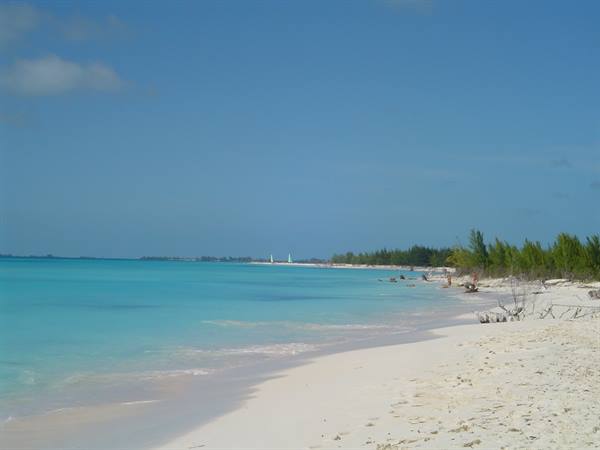 White sand beach with turquoise water, green trees and blue sky