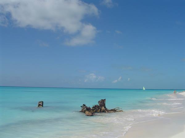 Driftwood in turquoise water, sailboat near the white beach