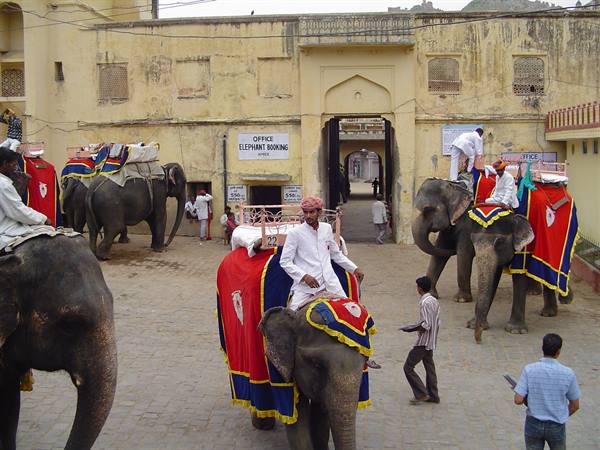 Decorated elephants with riders waiting at the elephant boarding courtyard, Amber