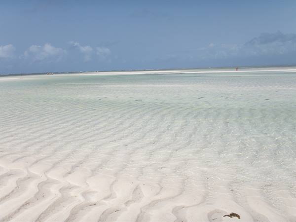 low tide....eden village watamu beach