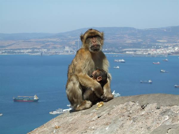 Gibraltar