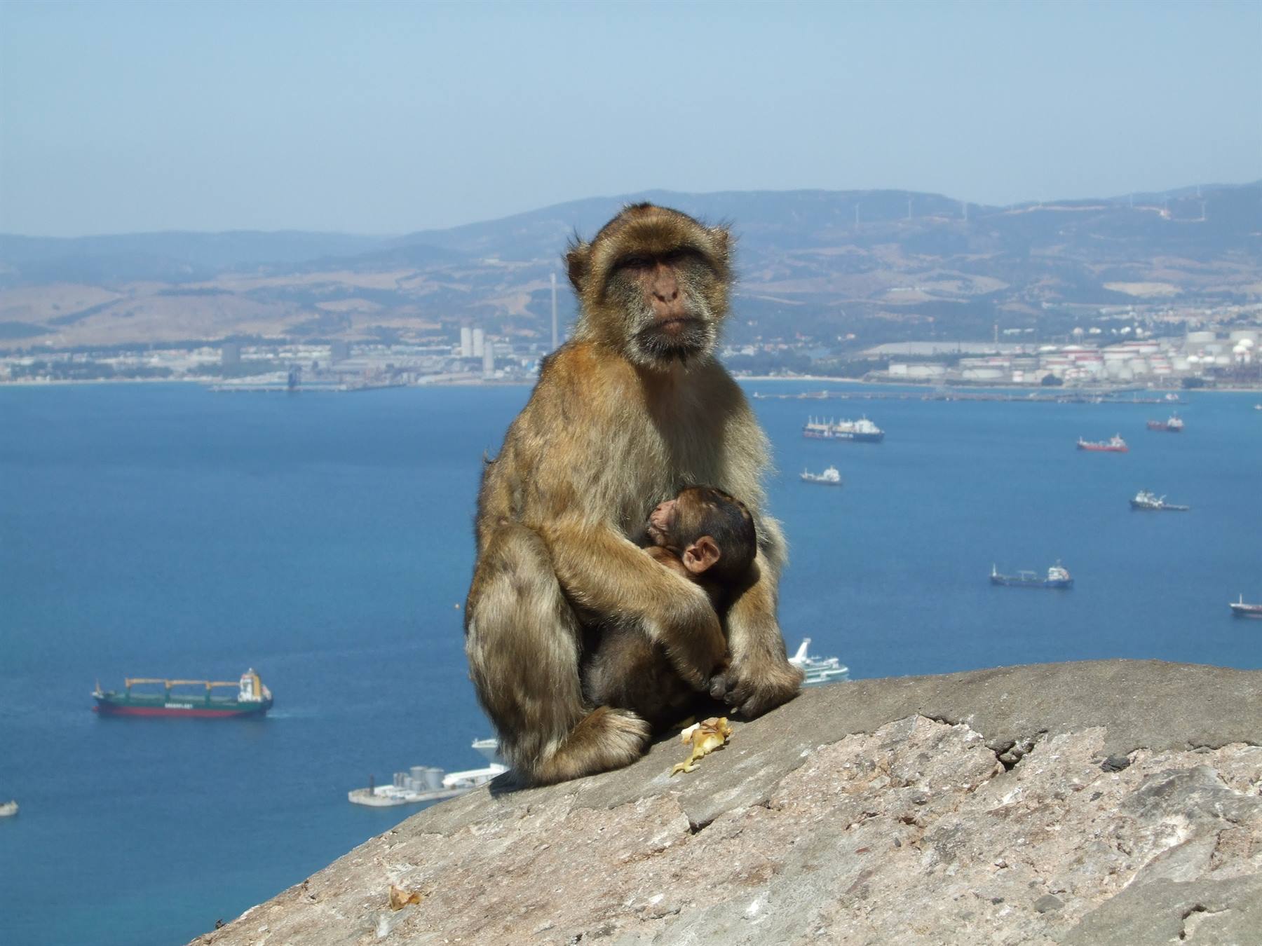 Gibraltar