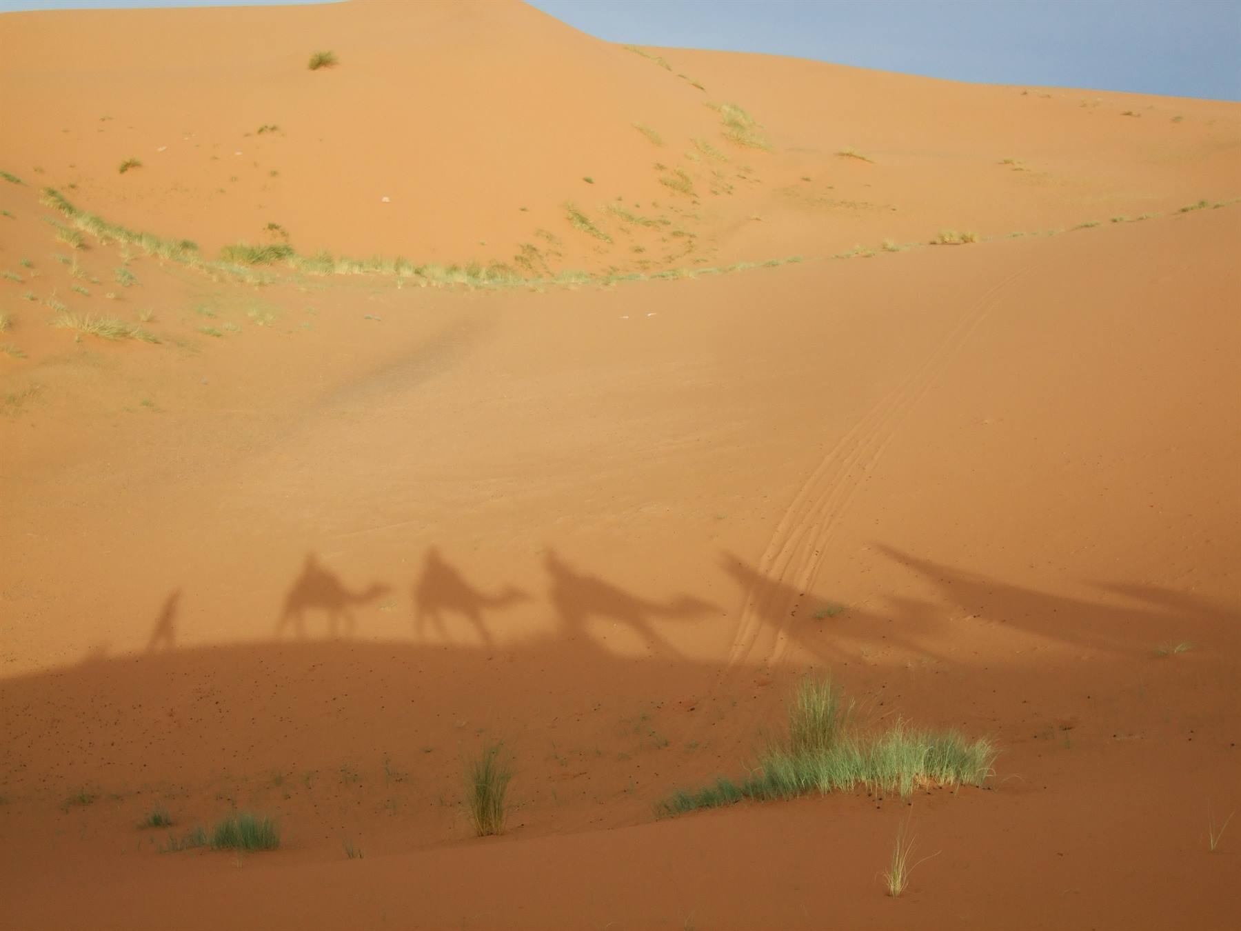 Shadows on the way