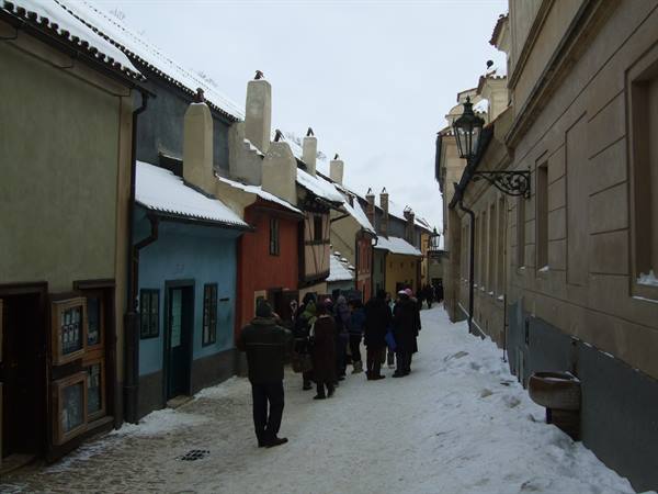 The Golden Lane
