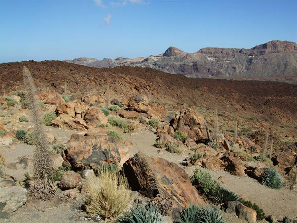 On the slopes of the Teide (Tenerife)