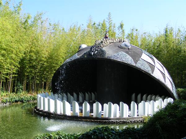 the whale