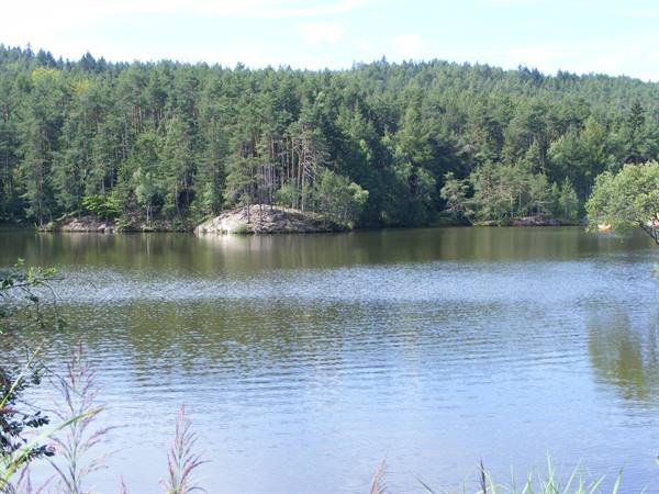 Lake surrounded by dense pine forest, granite outcrop, summer daylight