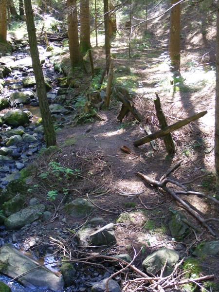 Trail with old wooden fence beside a forest stream