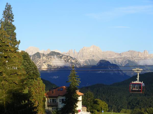 from the terrace