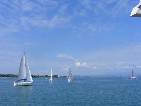 White sailboats gliding on blue water, tree-lined coast beneath a partly cloudy sky