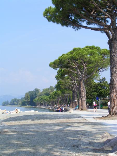 Lakeside promenade with stone pines, strollers, sandy beach and blue water