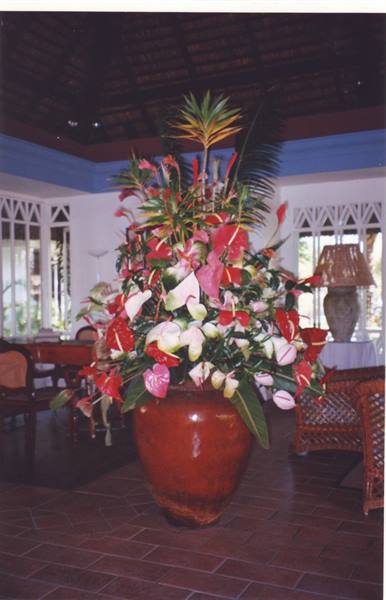 Terracotta vase with red and white anthuriums in a tiled indoor hall
