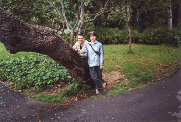 Couple leaning on a large twisted trunk in a leafy park
