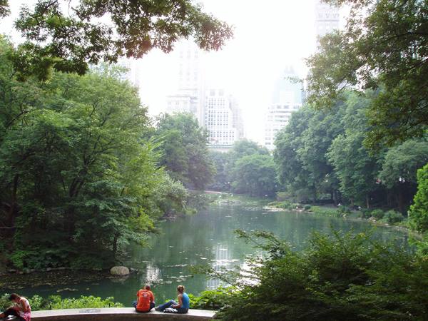 People sitting on a stone ledge by the pond amid green trees in Central Park
