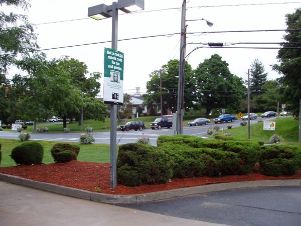Green sign on lamppost among shrubs, road with cars and houses