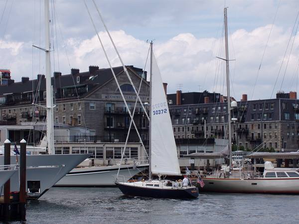 the harbour