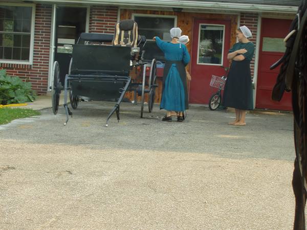 Two Amish women in blue dresses beside a black buggy in front of a house