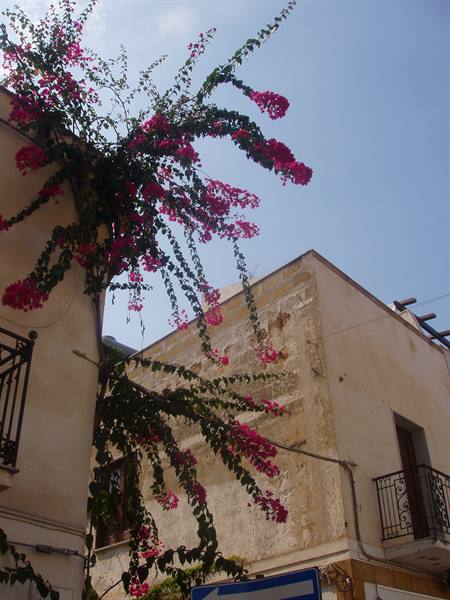 Pink bougainvillea over white stone houses, midday blue sky
