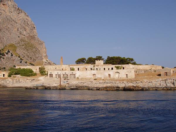 The tuna factory