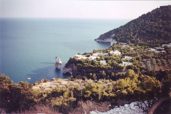 Bay of the Zagare