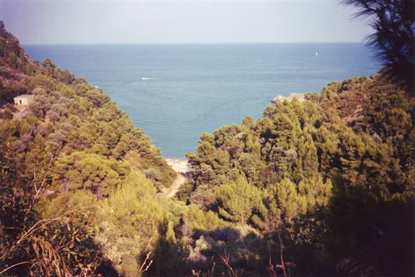 Blue sea seen between hills covered with pines and Mediterranean scrub