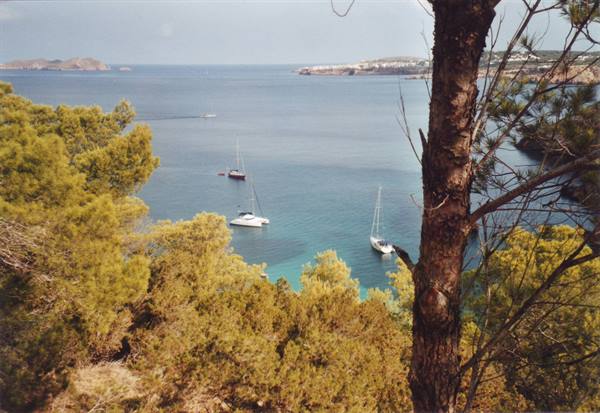Sailboats and a catamaran anchored in a turquoise cove between pines