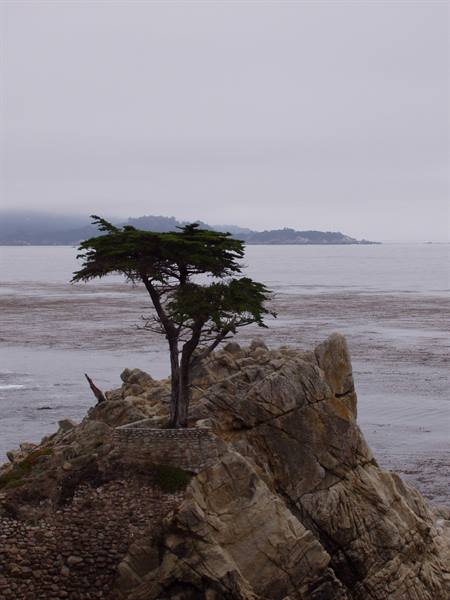 17 Miles  Cypress point