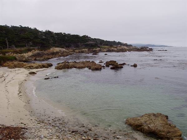 Sandy cove with waves around granite rocks and cypress trees along the coast