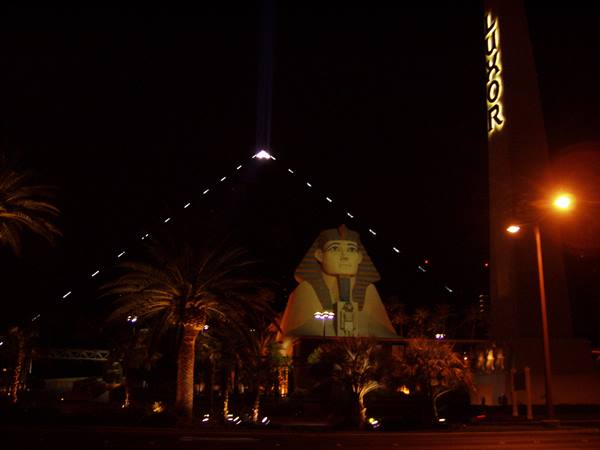 Sphinx and obelisk of the Luxor hotel in Las Vegas, night with palm trees