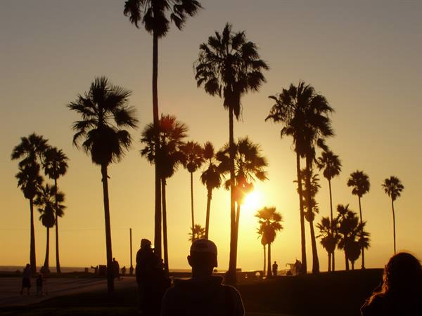 VENICE