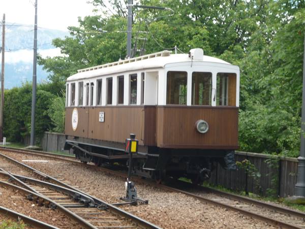Old brown and white wooden tramcar on tracks among green trees