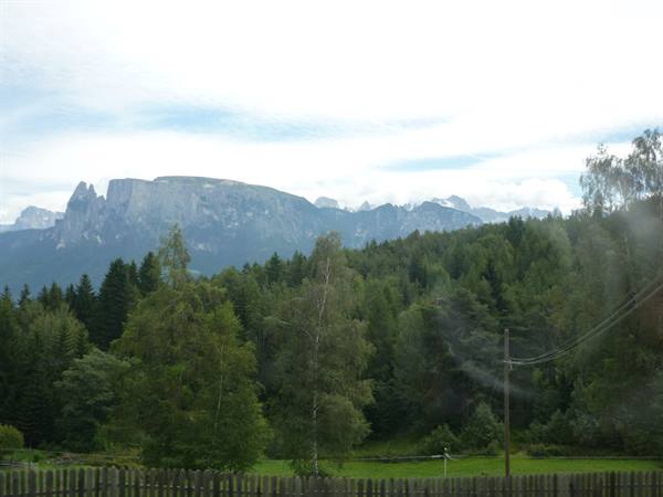 The Schlern massif seen through the train window above firs and green meadow