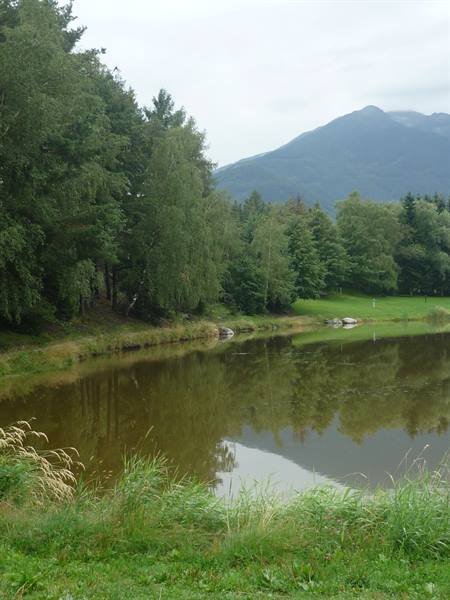 Mountain lake with trees reflected in the water, hazy peaks behind