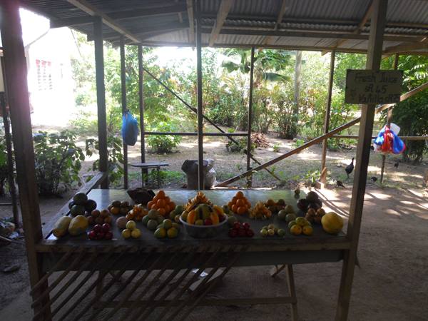 Fresh fruit displayed on an open-air wooden market stall