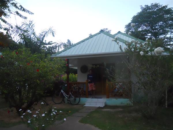 Man under the porch of a green-roof bungalow, bicycle leaning, flowering garden
