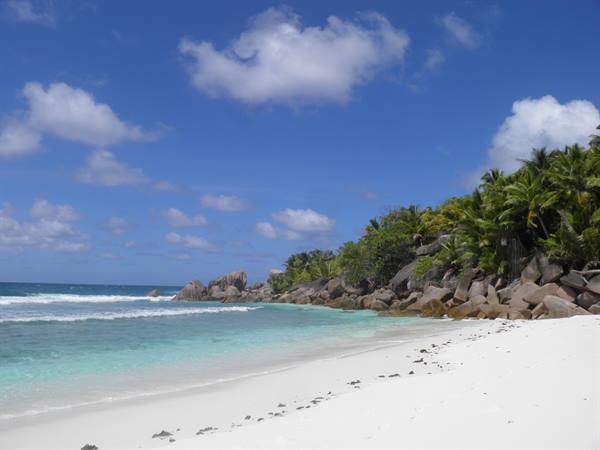 White sand beach, turquoise waves and large granite boulders among palms
