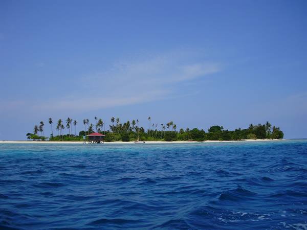 Tropical island with palms and red-roofed hut on white sand, deep blue sea