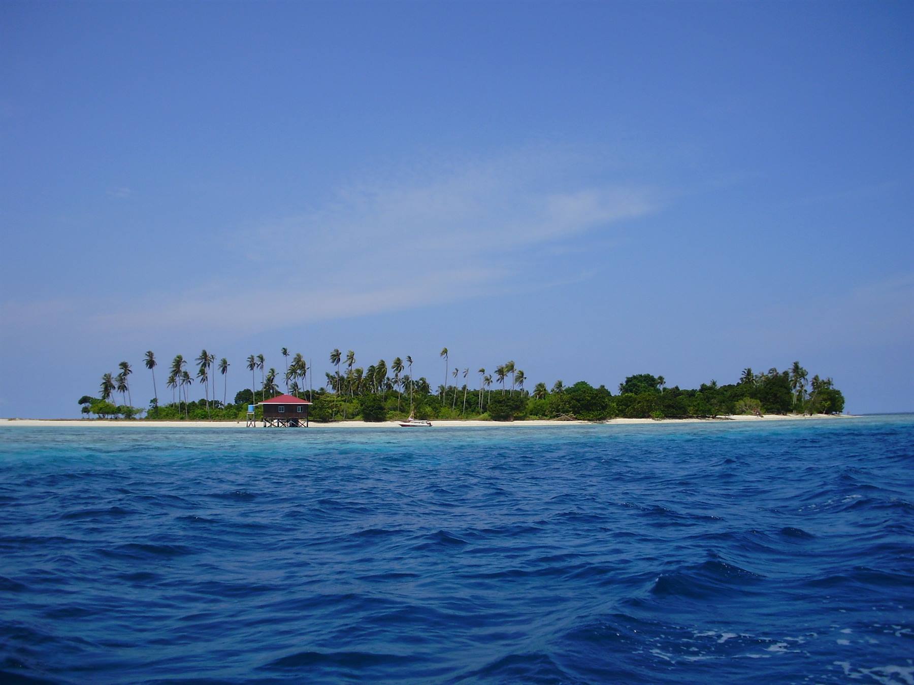 Tropical island with palms and red-roofed hut on white sand, deep blue sea