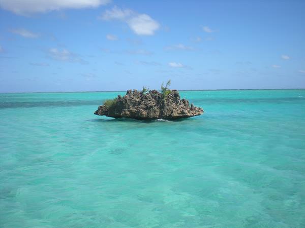 Lone coral rock in the middle of a turquoise sea under blue sky