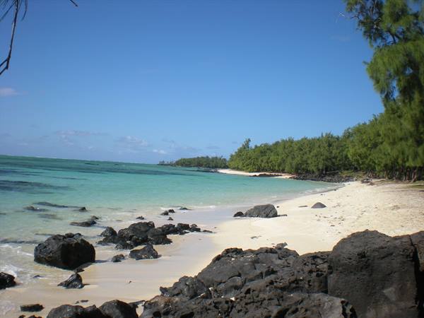 Pale sand beach with dark volcanic rocks, turquoise water and filaos