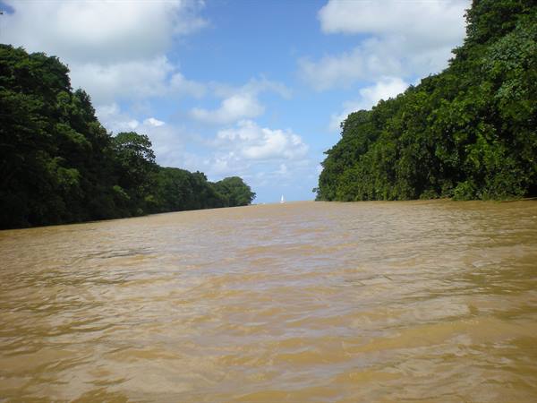 Muddy brown river between green forested banks, sailboat in the distance